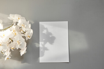 Mockup of an empty white A5 blank on a gray background