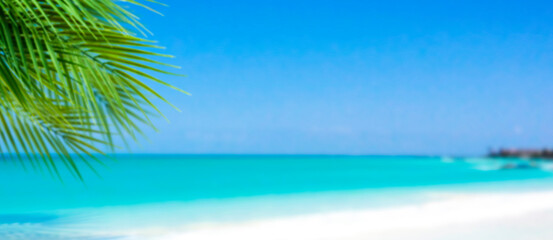 Fototapeta na wymiar Beautiful seascape panorama with palm