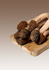 Spring wild morel mushrooms or Morchella conica. They are loaded with all kinds of vitamins and minerals, high in antioxidants, low in calories, and high in fiber and protein