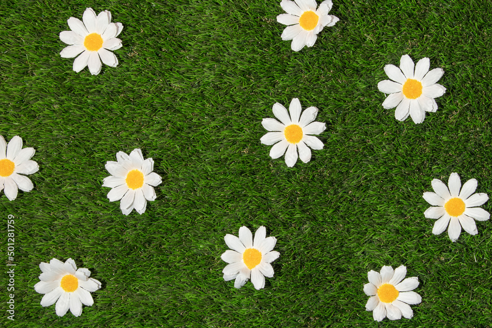 Wall mural spring creative pattern with white flower heads on green grass background. 80s or 90s aesthetic fash