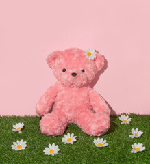 Spring creative layout with pink teddy bear sitting on grass with white flower heads and pastel...