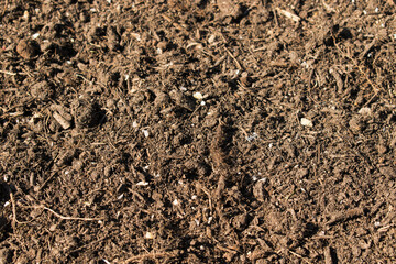 close fertile soil background.