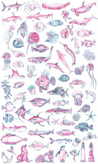Watercolor sea creatures isolated on white. Fishes, crabs, octopuses, jellyfish, whales, stingray, seashells, corals, sea lion, penguin, anchor, submarine, leafy dragon, sea horse and lighthouse. 