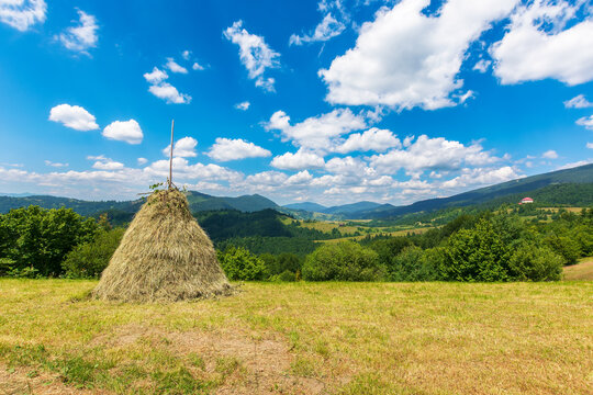 rural landscape in mountains. haystacks on the hill near the forest. sunny weather with clouds on the sky. rustic carpathian scenery in summer