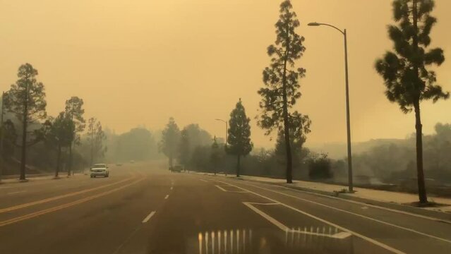Driving through an active wildfire during day time