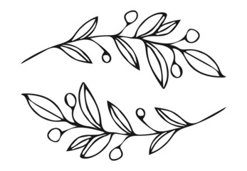 Fototapeta na wymiar black and white silhouettes of leaves.Horizontal white banner or floral background decorated with flowers. Hand drawn line wedding herb, elegant leaves
