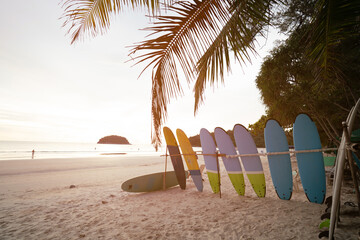 Tourism  relax wide Surfboards on sand beach summer travel holiday. Sunny or sunset copy space 2022. 