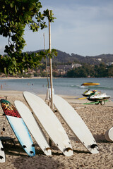 Surfboards setting  under coconut palms beach seaside. Landscape surfing sea island travel trips weekend summer.