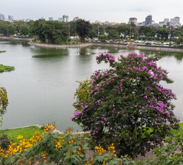 Fototapeta na wymiar Ba Mau Lake in Hanoi, Vietnam