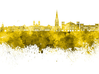 Fototapeta premium San Sebastian skyline in watercolor background