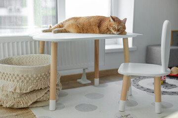 A ginger cat lies on a children's white table in a children's room against the background of a window on a sunny day