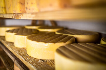 A dream of cheese