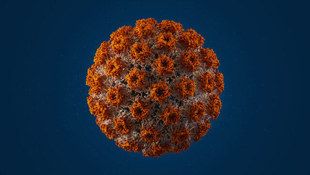 HPV human papilloma virus infection. 3d render medical illustration, with accurate structure. A commonly transmitted papillomavirus, causing cervical cancer.
