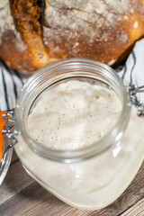 Sourdough starter