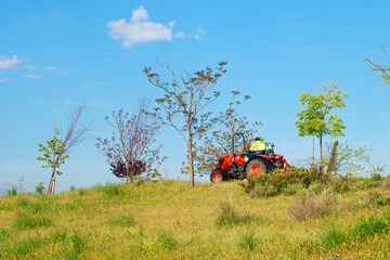 traktor kosiarka łąka niebo drzewa - obrazy, fototapety, plakaty