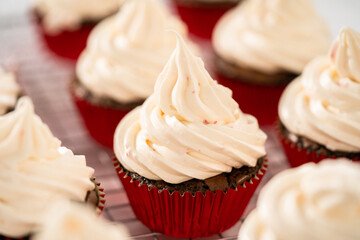 Chocolate peppermint cupcakes