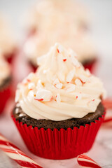 Chocolate peppermint cupcakes