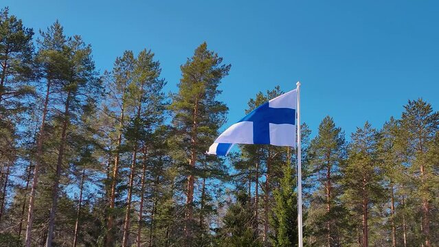 Finland flag in spring sun.