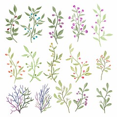 Set watercolor elements of burgundy flowers, leaves, branches, Botanic illustration isolated on white background.