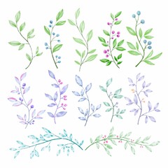 Set watercolor elements of burgundy flowers, leaves, branches, Botanic illustration isolated on white background.