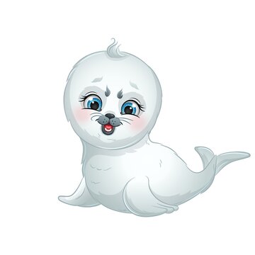 Cute baby seal, vector illustration. Cartoon polar baby animal, isolated on white background.