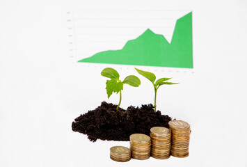 Fototapeta na wymiar The concept of financial growth. Sprouts sprouted from the ground, stacks of coins of different heights and a diagram on a white background.