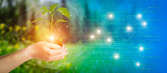 Agricultural technologies for growing plants and scientific research in the field of biology and chemistry of nature. Living green sprout in the hands of a farmer. Organic digital background - obrazy, fototapety, plakaty