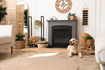 Adorable Golden Retriever dog on floor near electric fireplace indoors