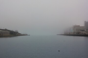 Naklejka premium fog on the river