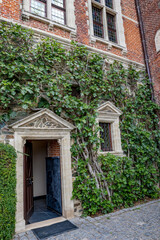 Fototapeta na wymiar Ivy growing on beautiful façade, Belgium