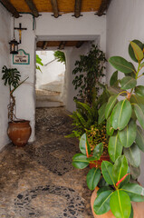 pasadizo de pueblo blanco de Andalucía, España con plantas tropicales - 501298189