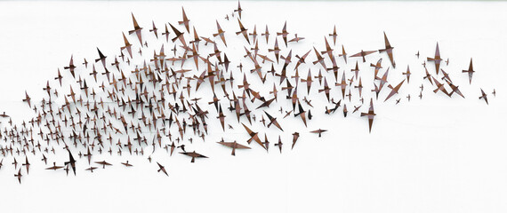 decorative flock of birds on white wall