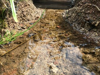 crystal clear spring water, watercourse