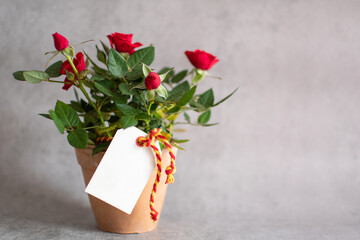 Small rosebush of red roses with a blank gift card.