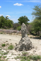 Large ant hill, Namibia