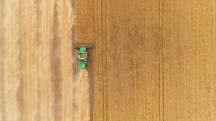Aerial view combine harvester harvesting on the field