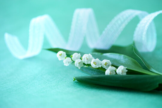 すずらん Images Browse 1 738 Stock Photos Vectors And Video Adobe Stock