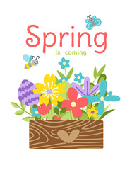 Wooden box with bloom flowers. Spring is coming card. Flowering. Flat, cartoon, isolated