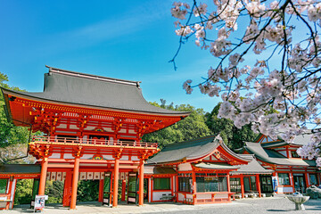 Naklejka premium 滋賀 近江神宮 春景色