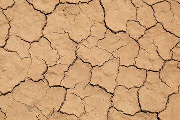 sequía tierra seca agrietada falta de agua textura desertización sur almería españa 4M0A5224-as22 - obrazy, fototapety, plakaty