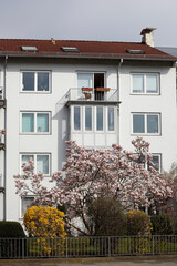 Modernes, weisses  Wohngebäude im Frühling, Bremen, Deutschland, Europa