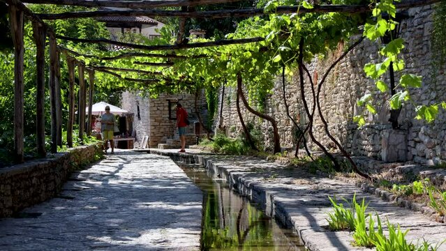 Grapevines Alley in Palace architectural park and botanical garden complex Balchik town, Bulgaria
