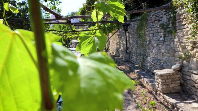 Grapevines Alley in Palace architectural park and botanical garden complex Balchik town, Bulgaria