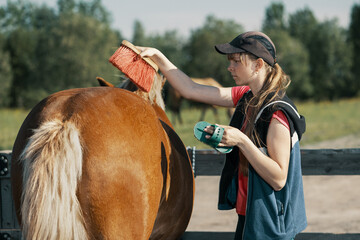 Teenage girl brushing horse croup with dandy brush in outdoors.