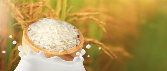 Rice milk organic, The movement of Thai Jasmine rice in wooden bowl falling into dairy splashed, Isolated on blurred of fields background with copy space, Healthy drink lactose free for Health care.