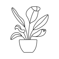 Indoor plant in a pot sketch. Vector doodle black and white outline illustration