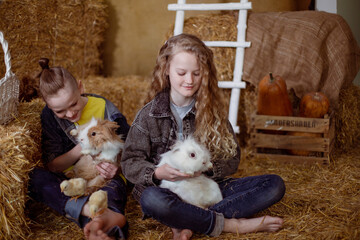 brother and sister on the farm playing with rabbits and chickens