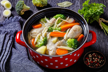 chicken vegetable soup with pasta in red pot