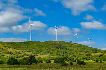 Windmillls at Countryside Landscape, Uruguay