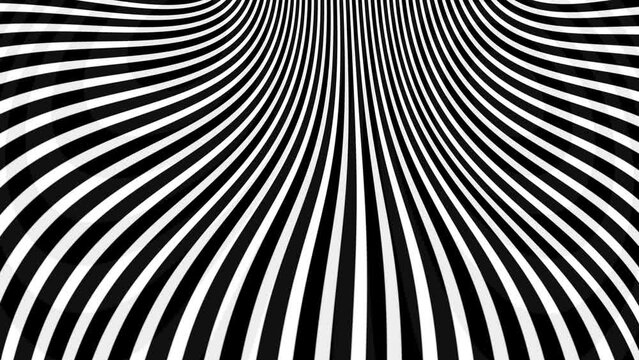 Movement of curved striped black-white lines. Optical illusion effect, op art.